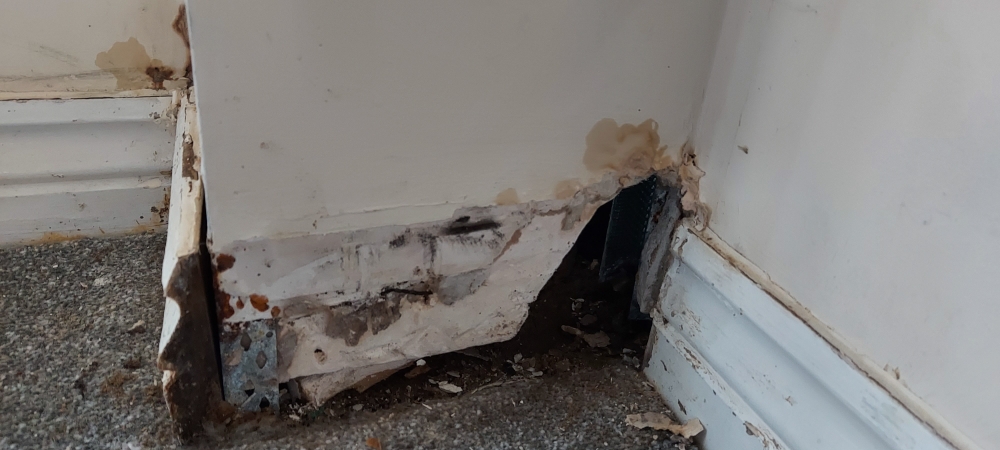 Alfred Munnings1.jpg