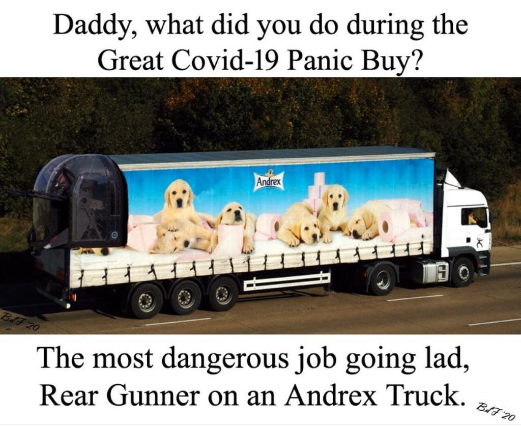 Andrex Gunner.jpg