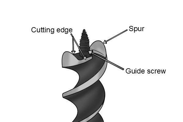 Auger Bit Point.jpg