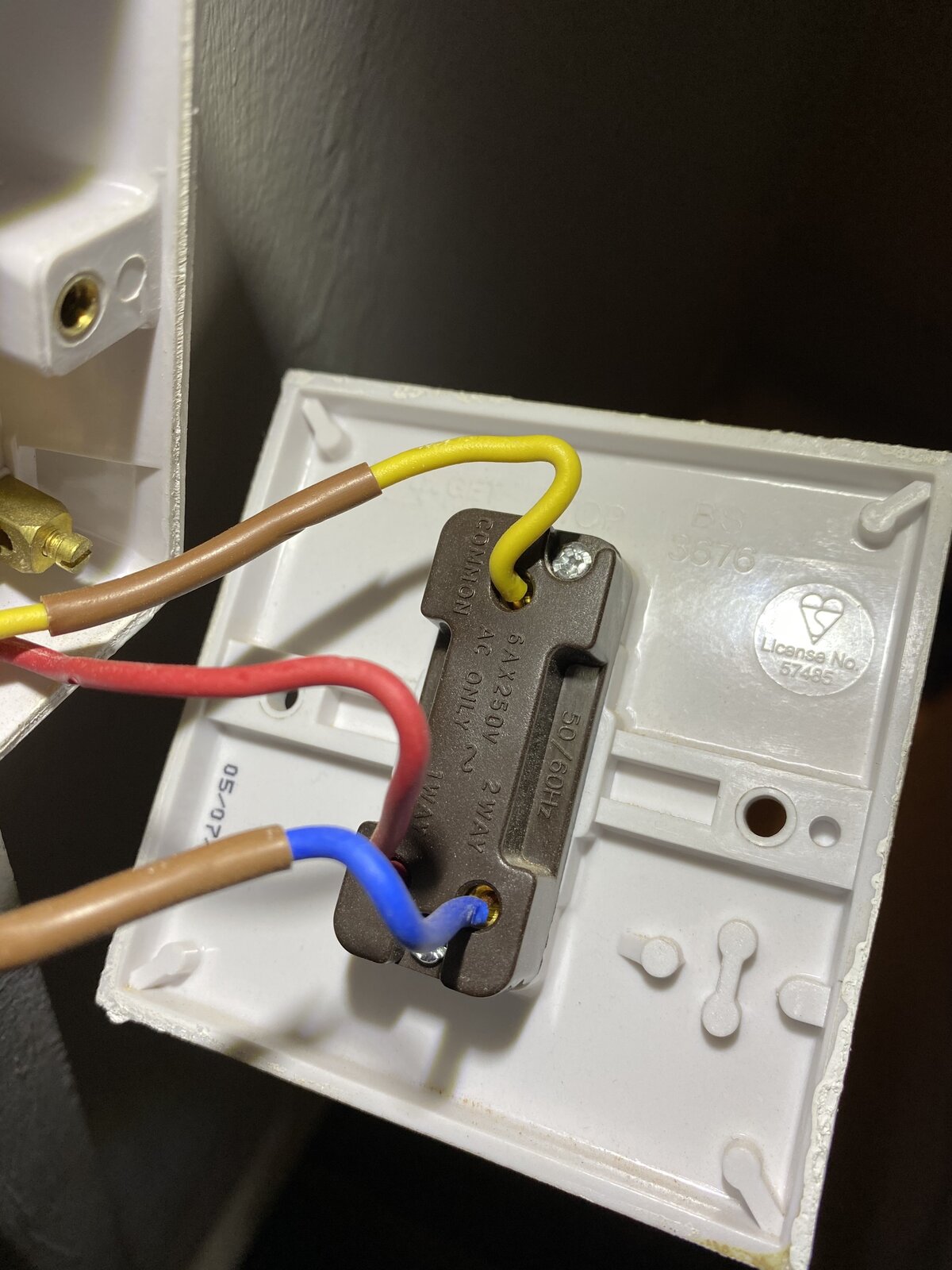 back of single 1.jpg