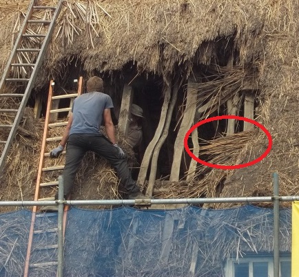 base horizontal layer.jpg