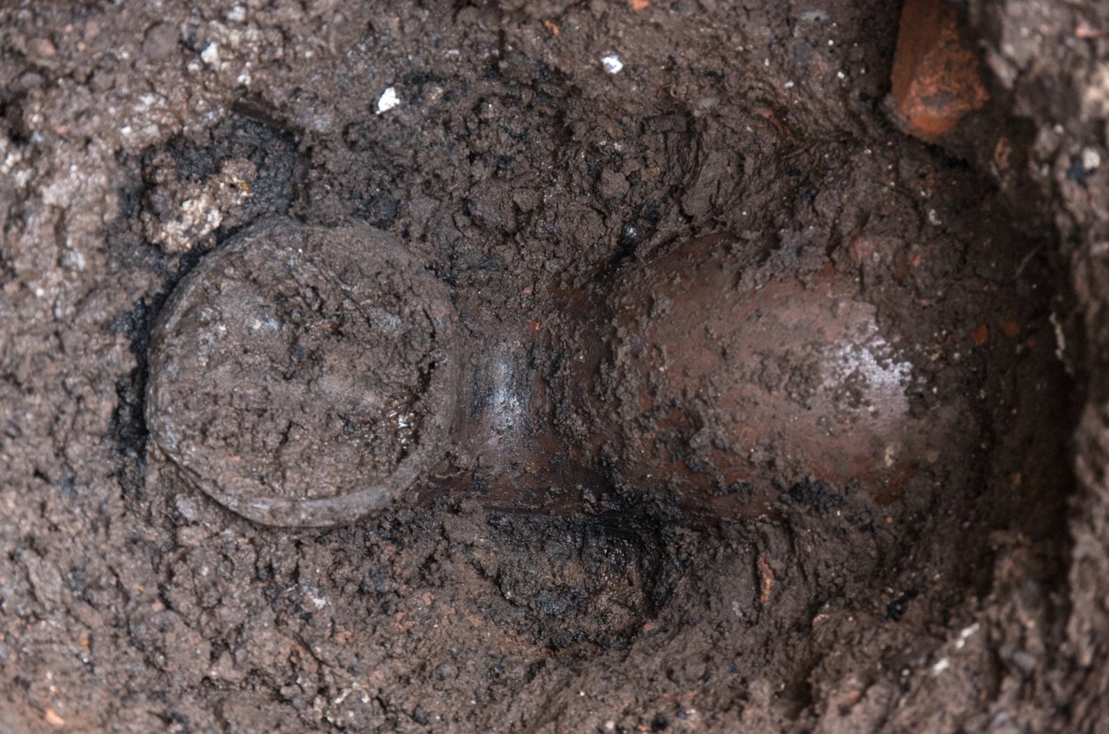 Base of Buchan P-trap : Interceptor just before main sewer.jpg