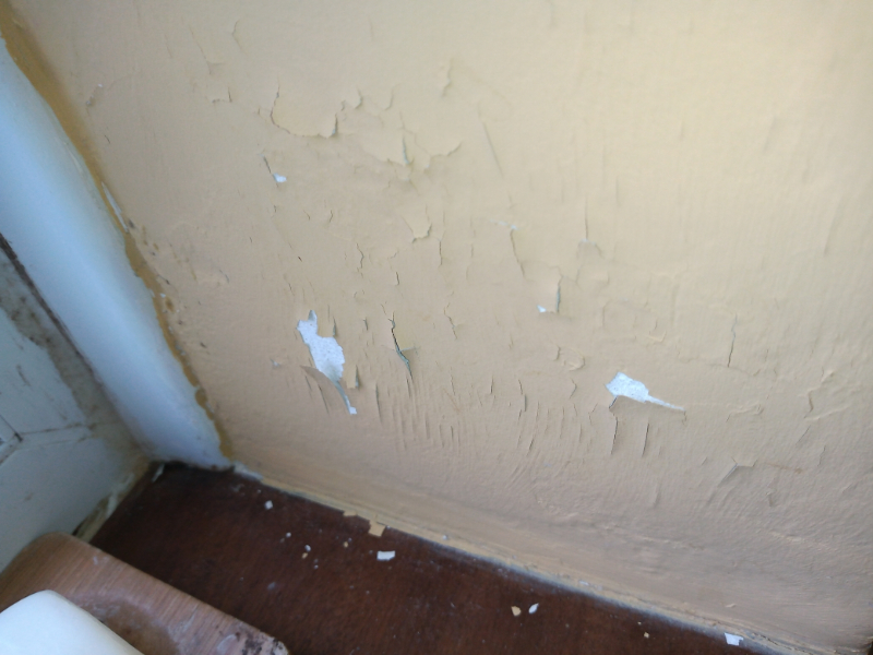 bathroom inside window.jpg