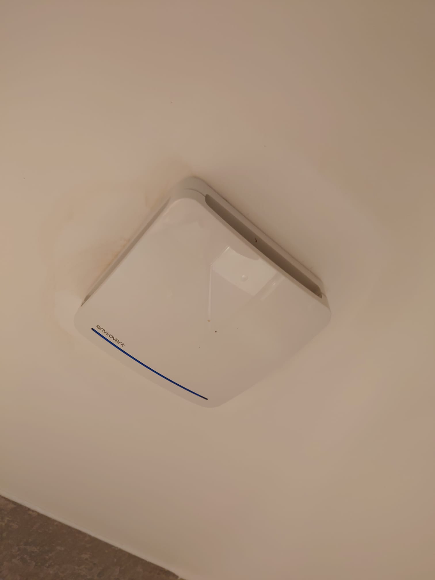Bathroom Leak 1.jpeg