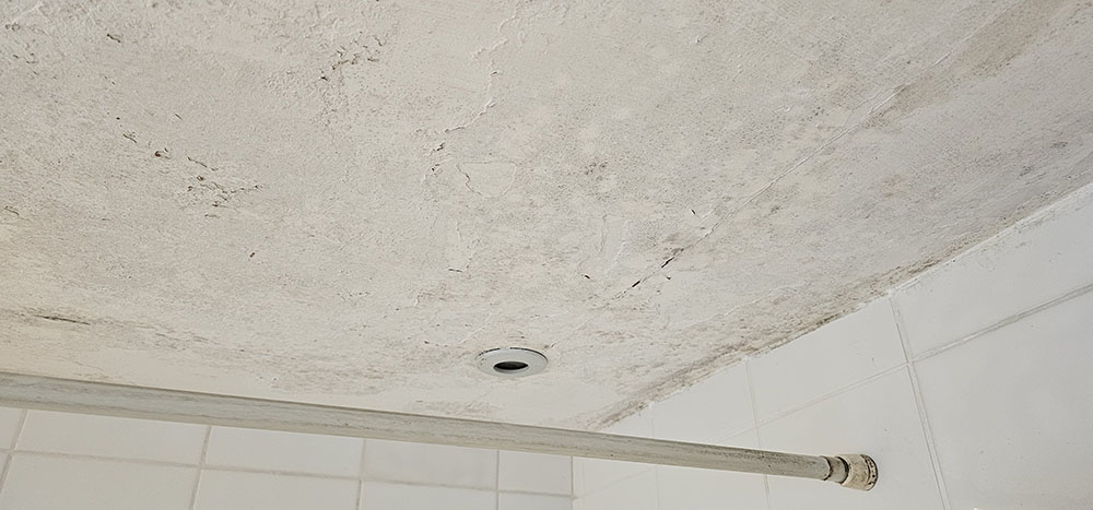 BathroomCeiling-3.jpg
