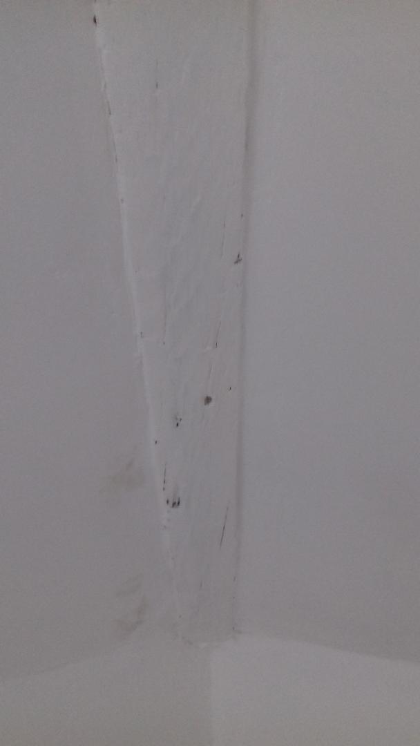 Beam 2 acryllic primed.jpg