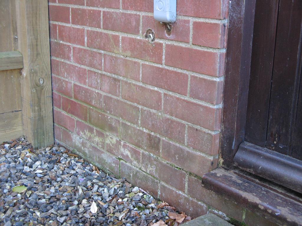 Bed Next to Front Door 1.JPG