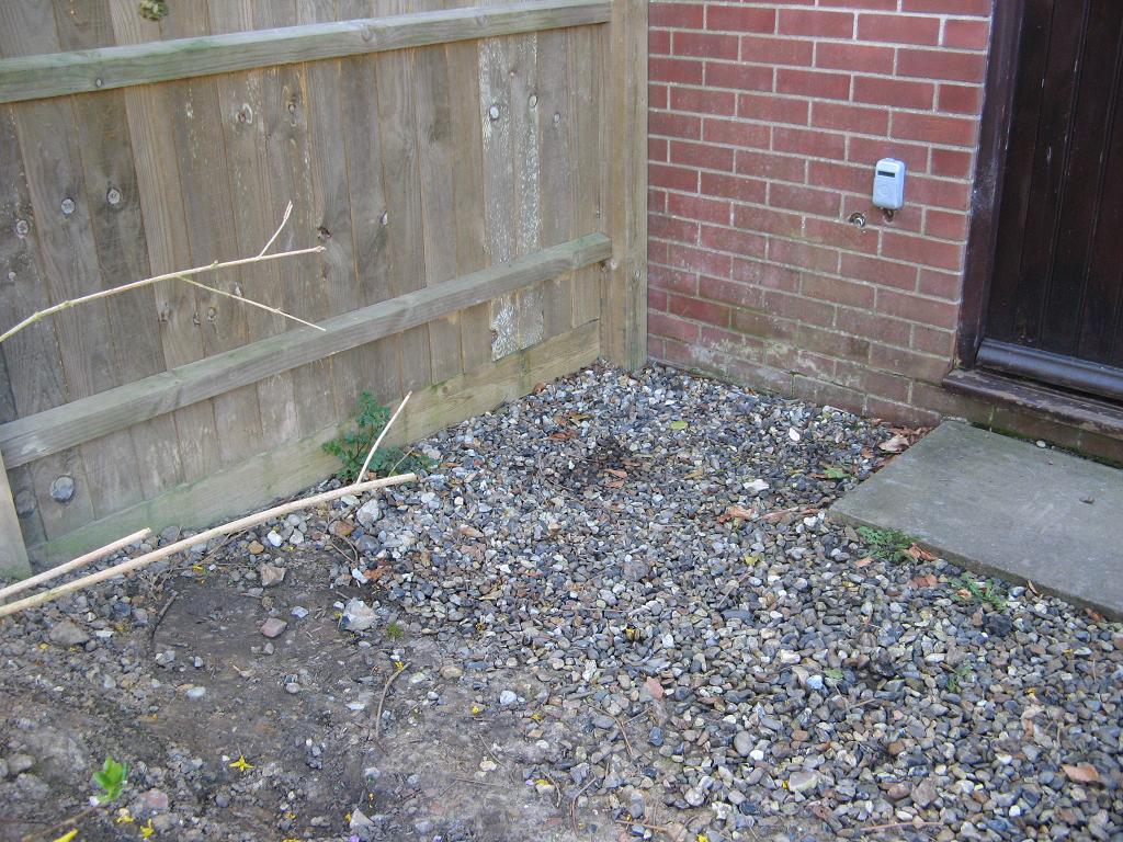 Bed Next to Front Door 2.JPG