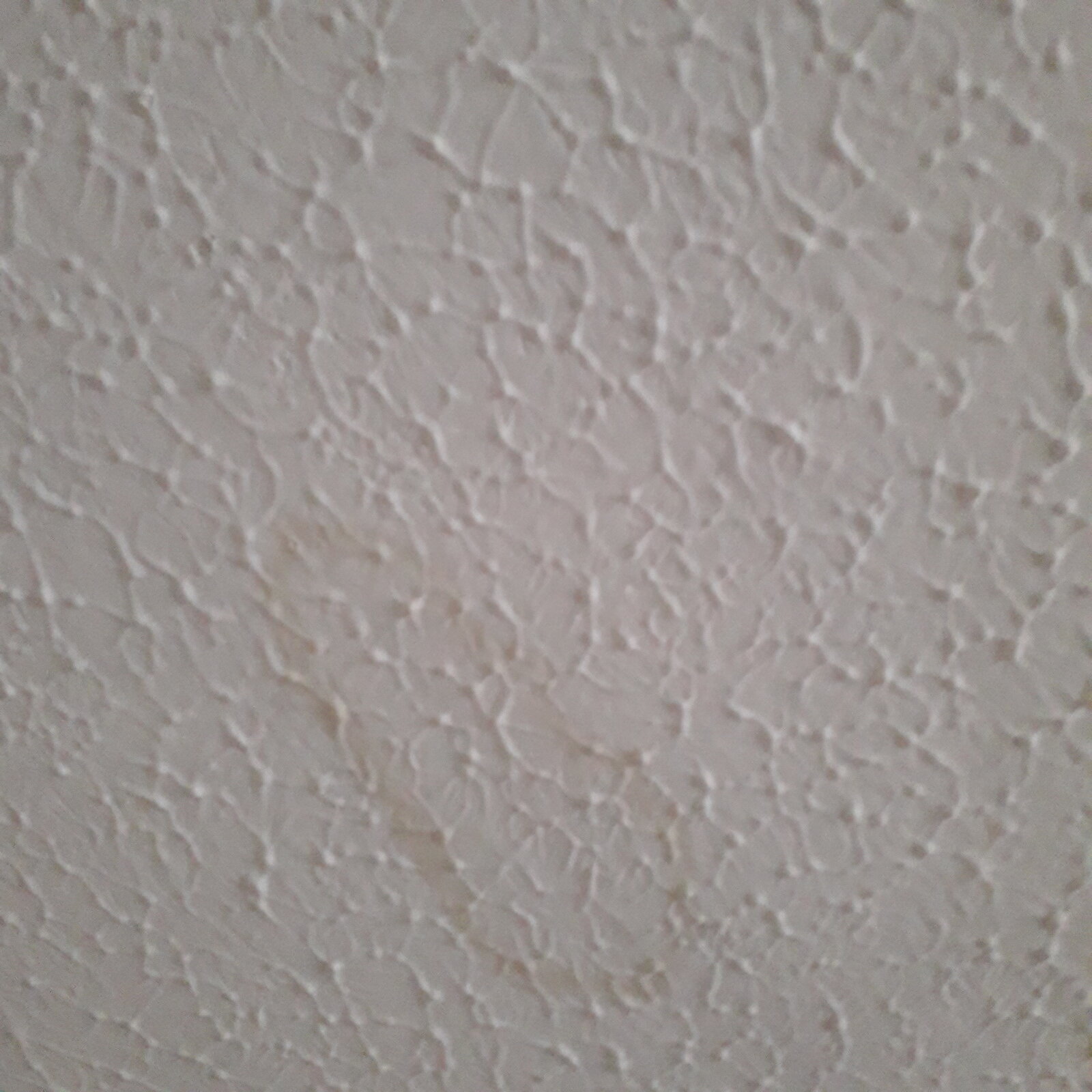 bedroom ceiling.jpg