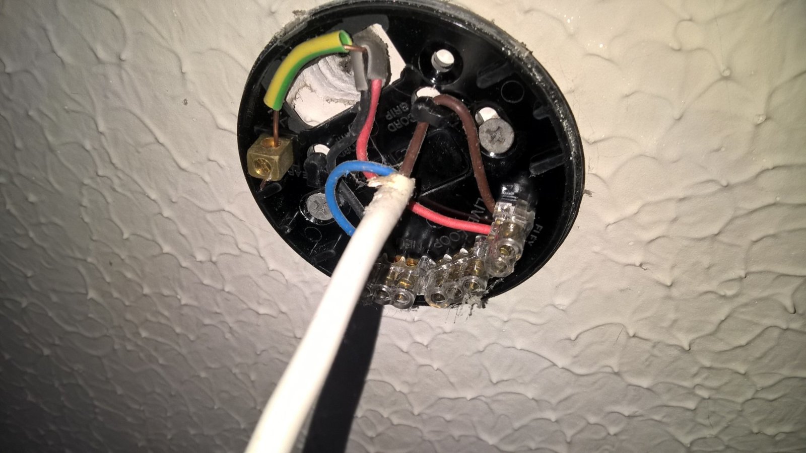 bedroom celing rose.jpg