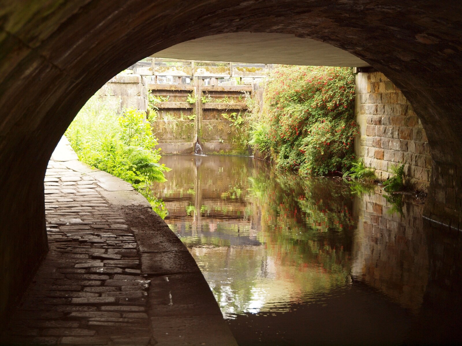 Best pic 460 2000.JPG