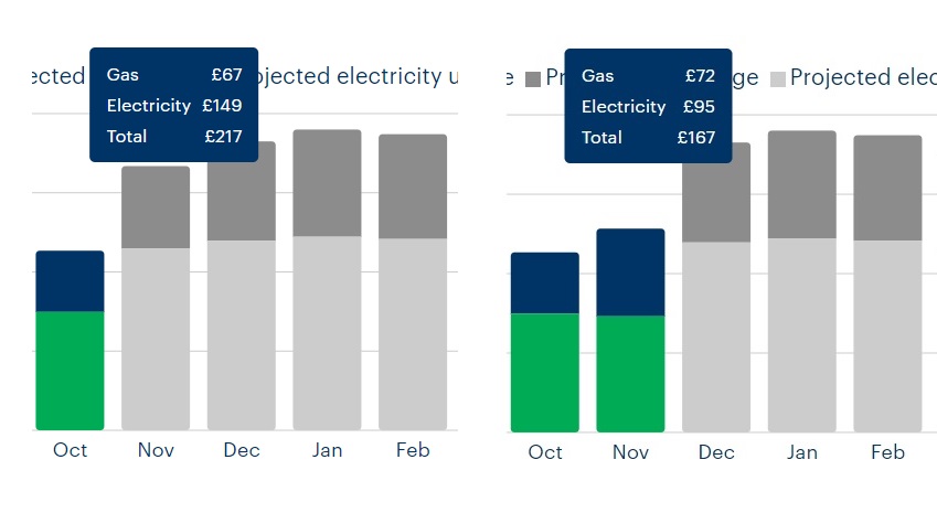 bulb projected and actual november.jpg