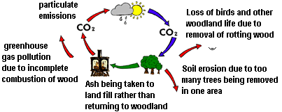 cabon cycle plus.PNG