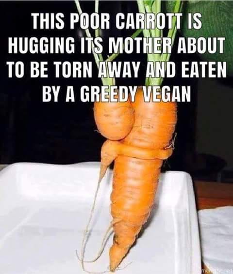 carrot.jpg