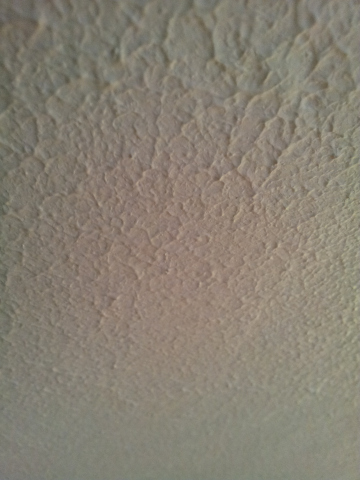 ceiling.jpg