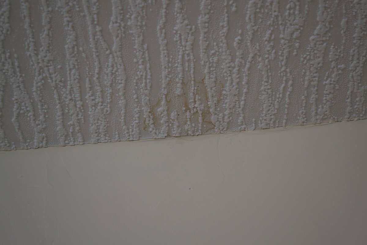 Ceiling-stain.jpg