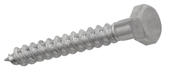 Coach Screw 001_01.JPG