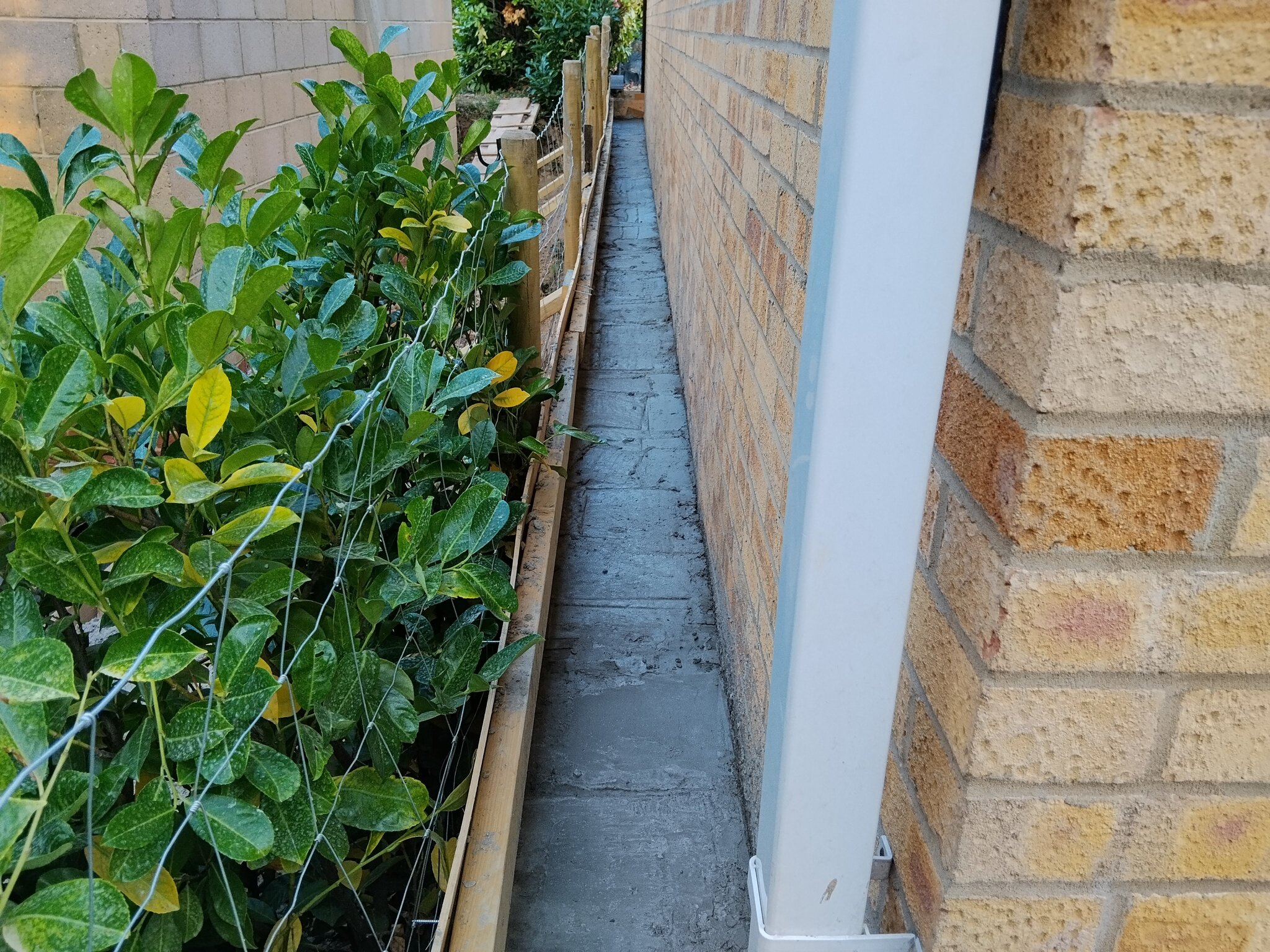 concrete path.jpg