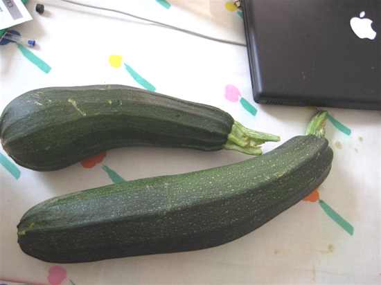 courgette.jpg