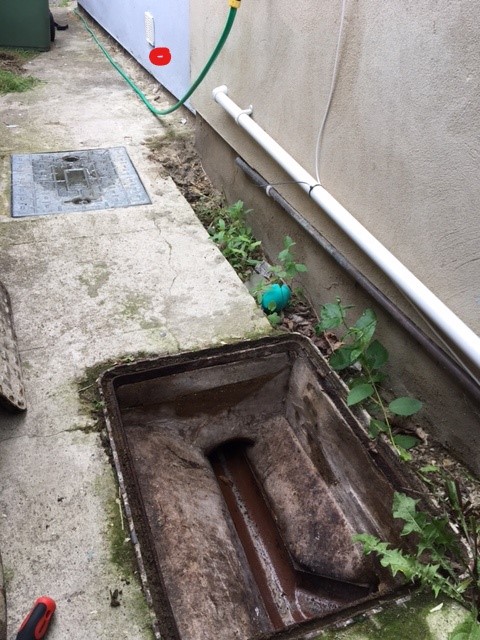 Cover off and wall view .jpg