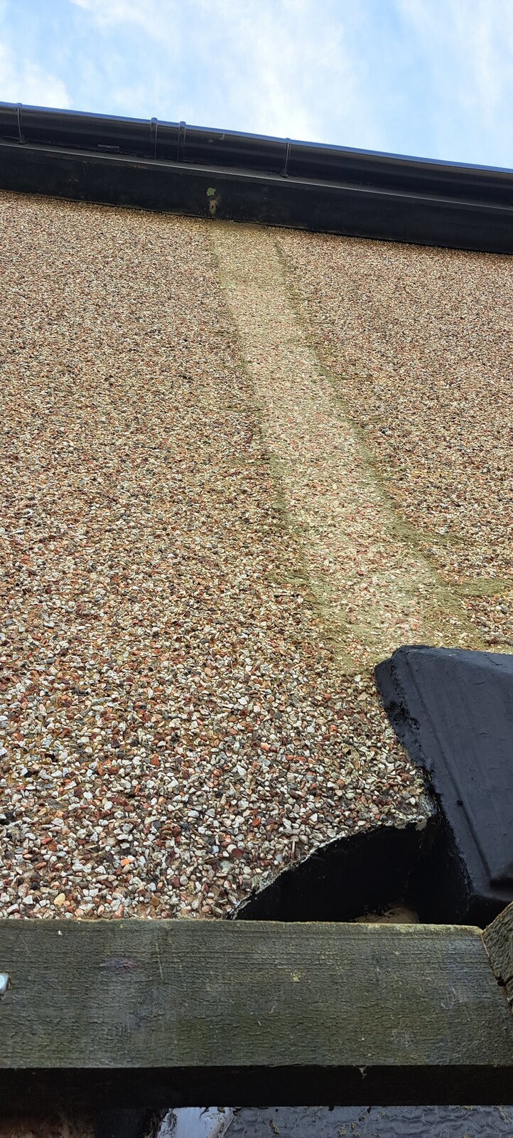 CR18 13 August 23 (1).jpg