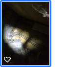 Damage to section wall end.png