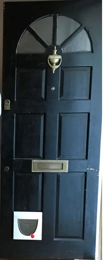 composite door with cat flap