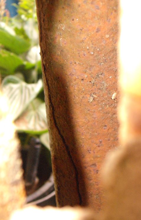 Downpipe fracture.JPG