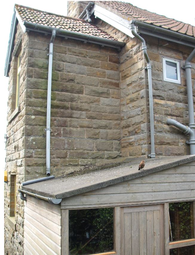 Downpipe showing two swan necks.JPG