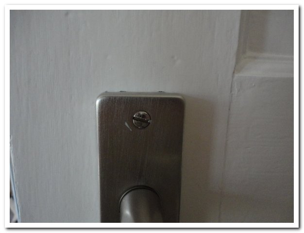 DSC02860 Handle showing Connecting Screw (side 1 of 2).jpg