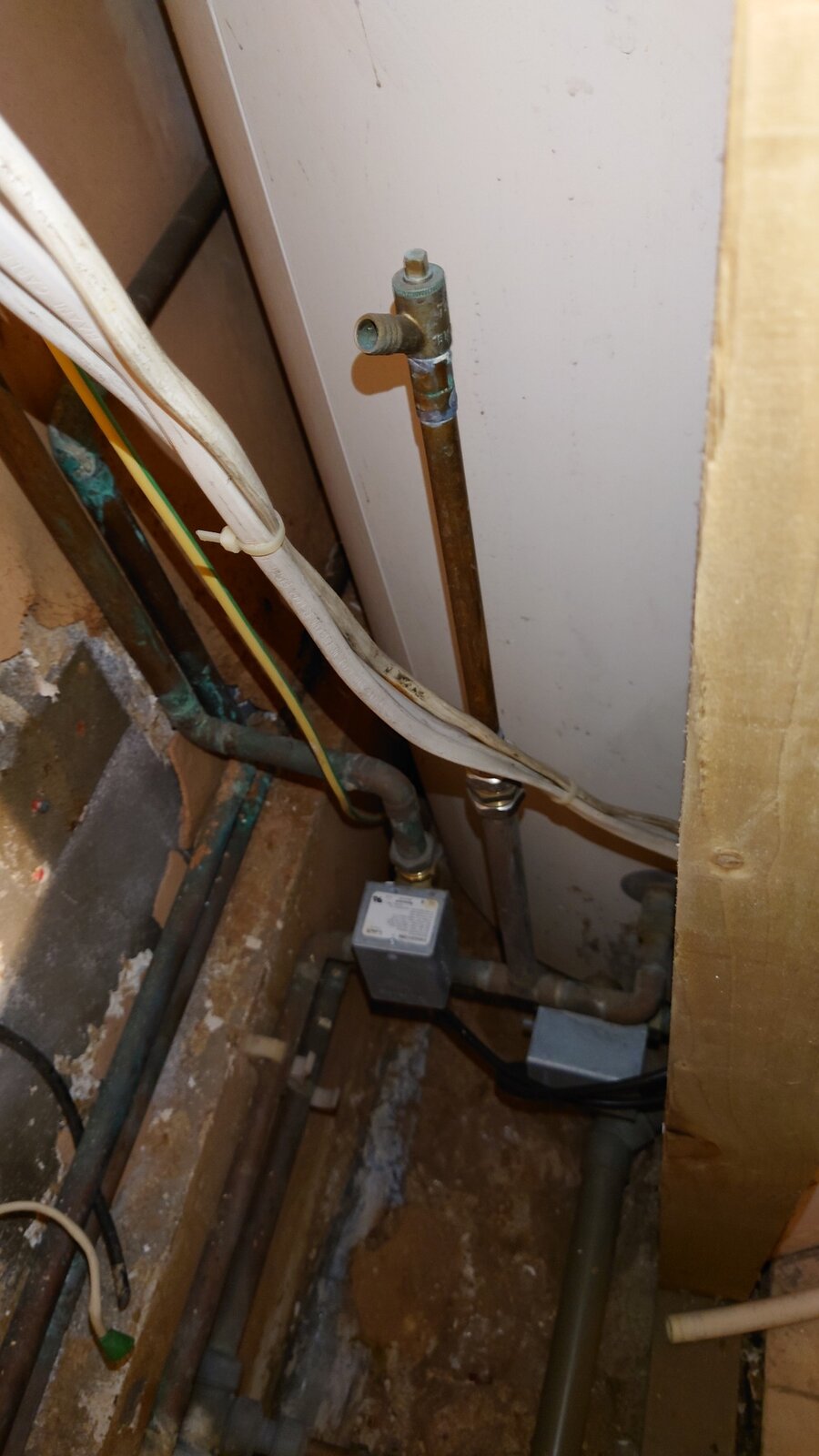 DSC_0012 (2020-07-23T10_28_01.000).jpg