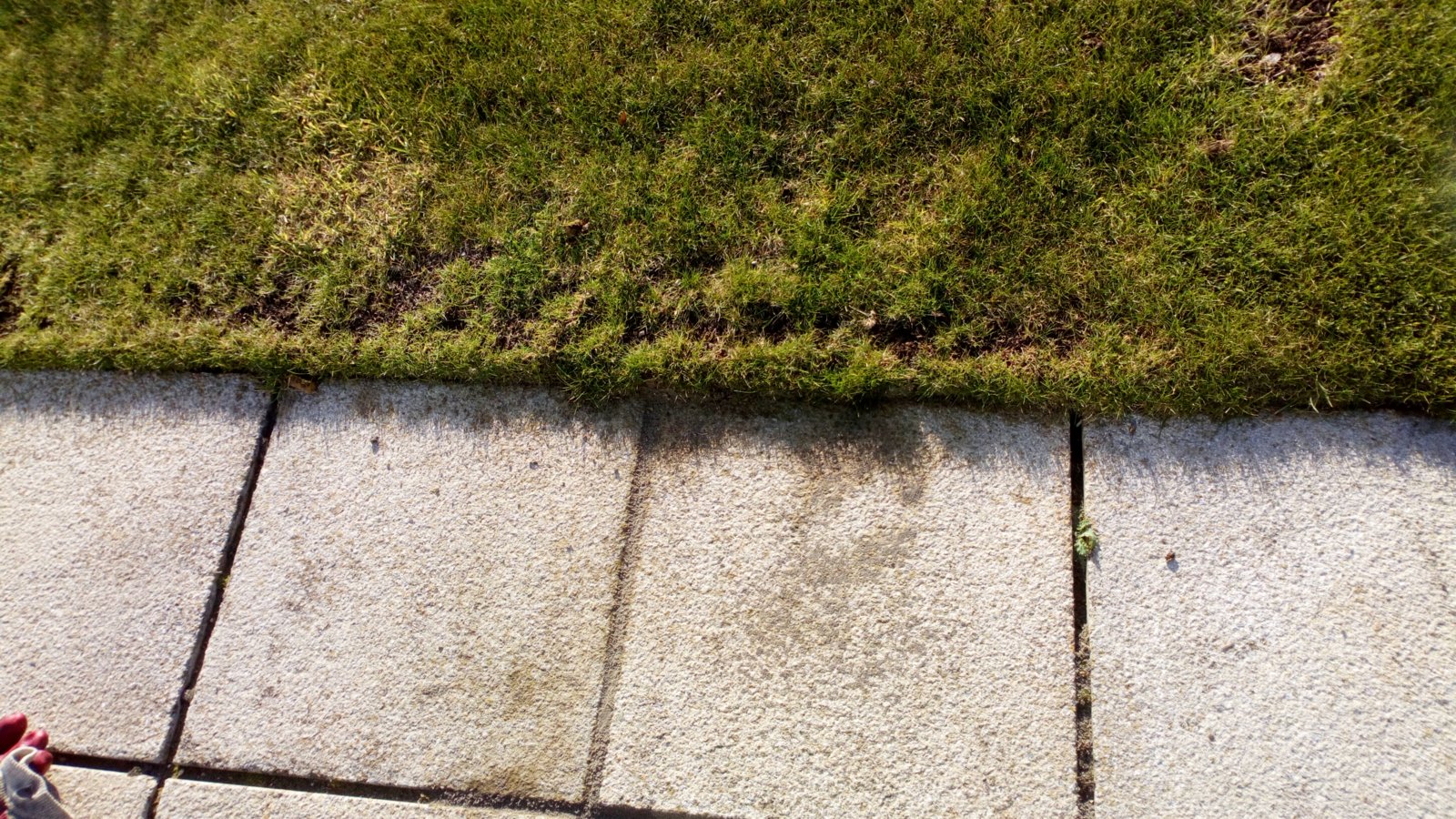 Got some grout on paving slabs DIYnot Forums