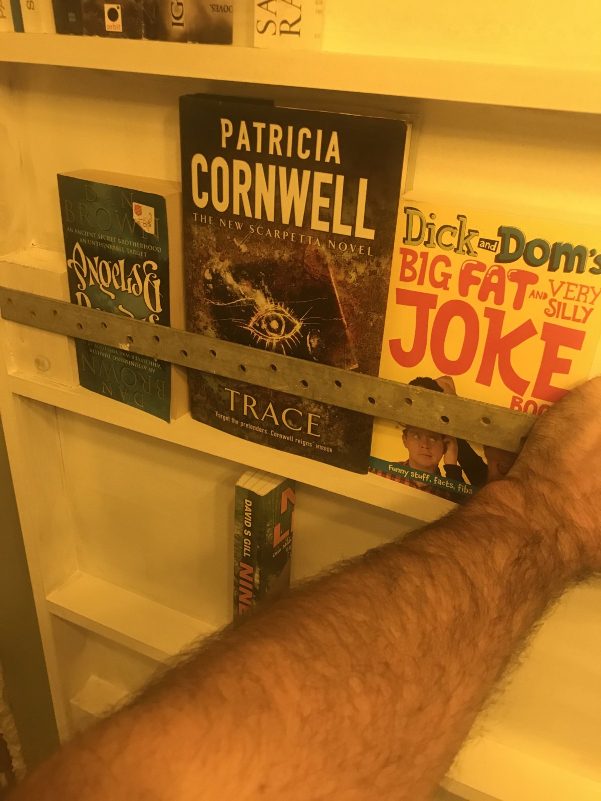 Perspex strips to stop books falling off thin shelf? DIYnot Forums