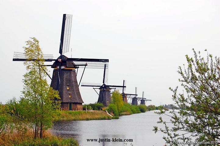 eco friend wind farm.jpg