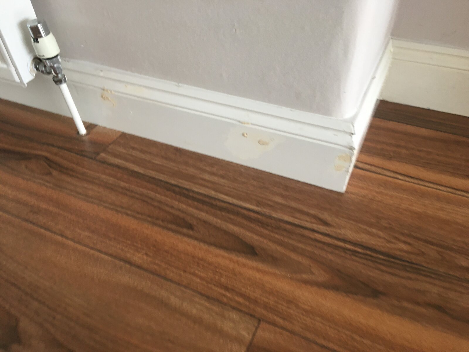 Repainting skirtingboard DIYnot Forums
