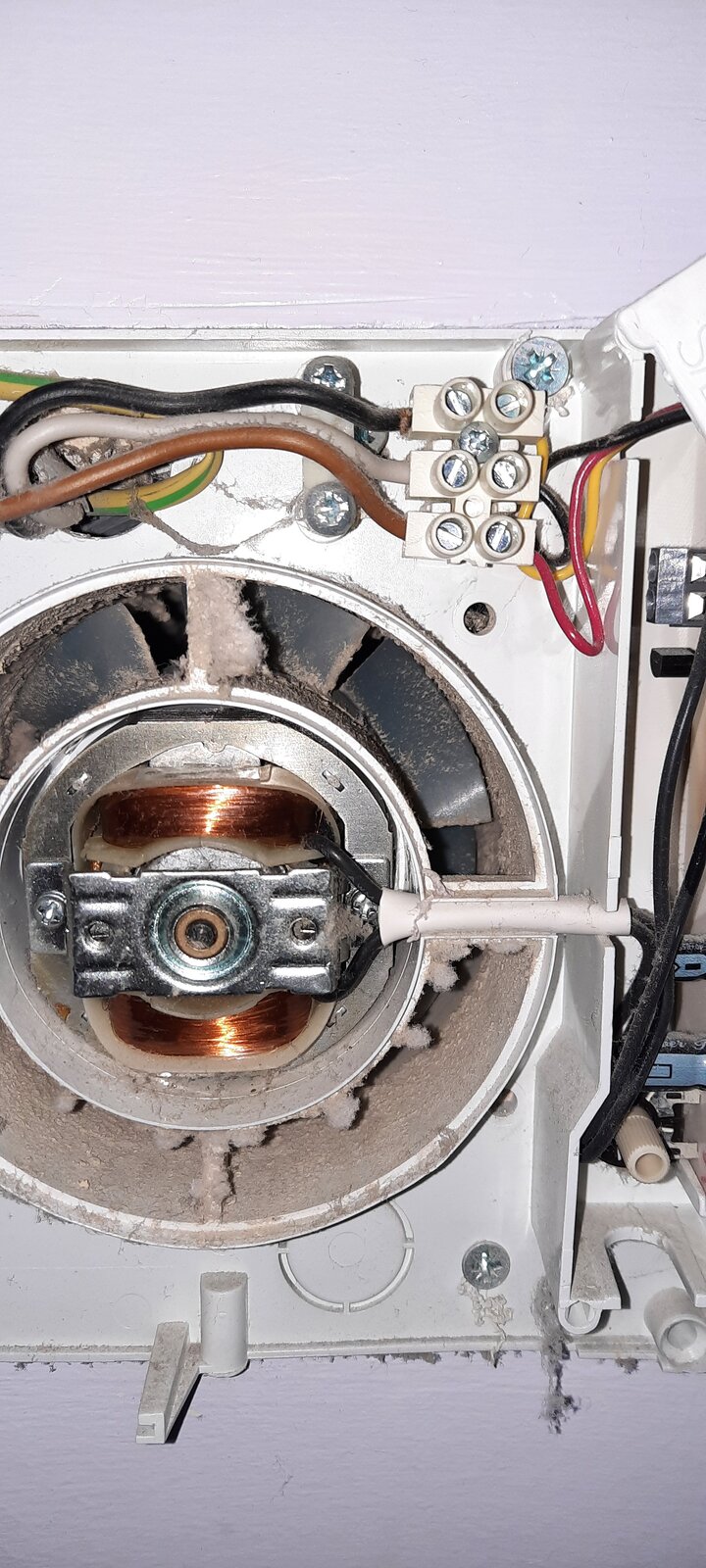 Extractor fan not working. DIYnot Forums