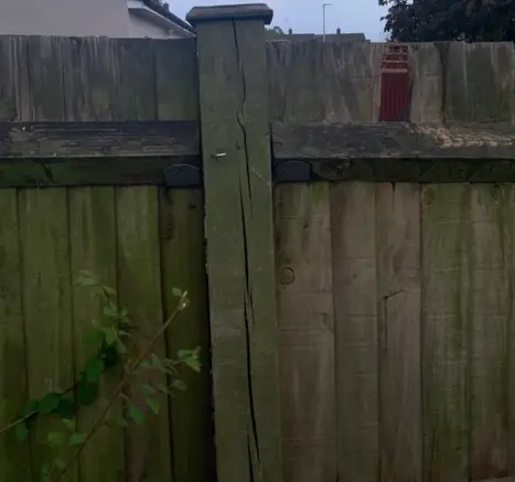 fence.png