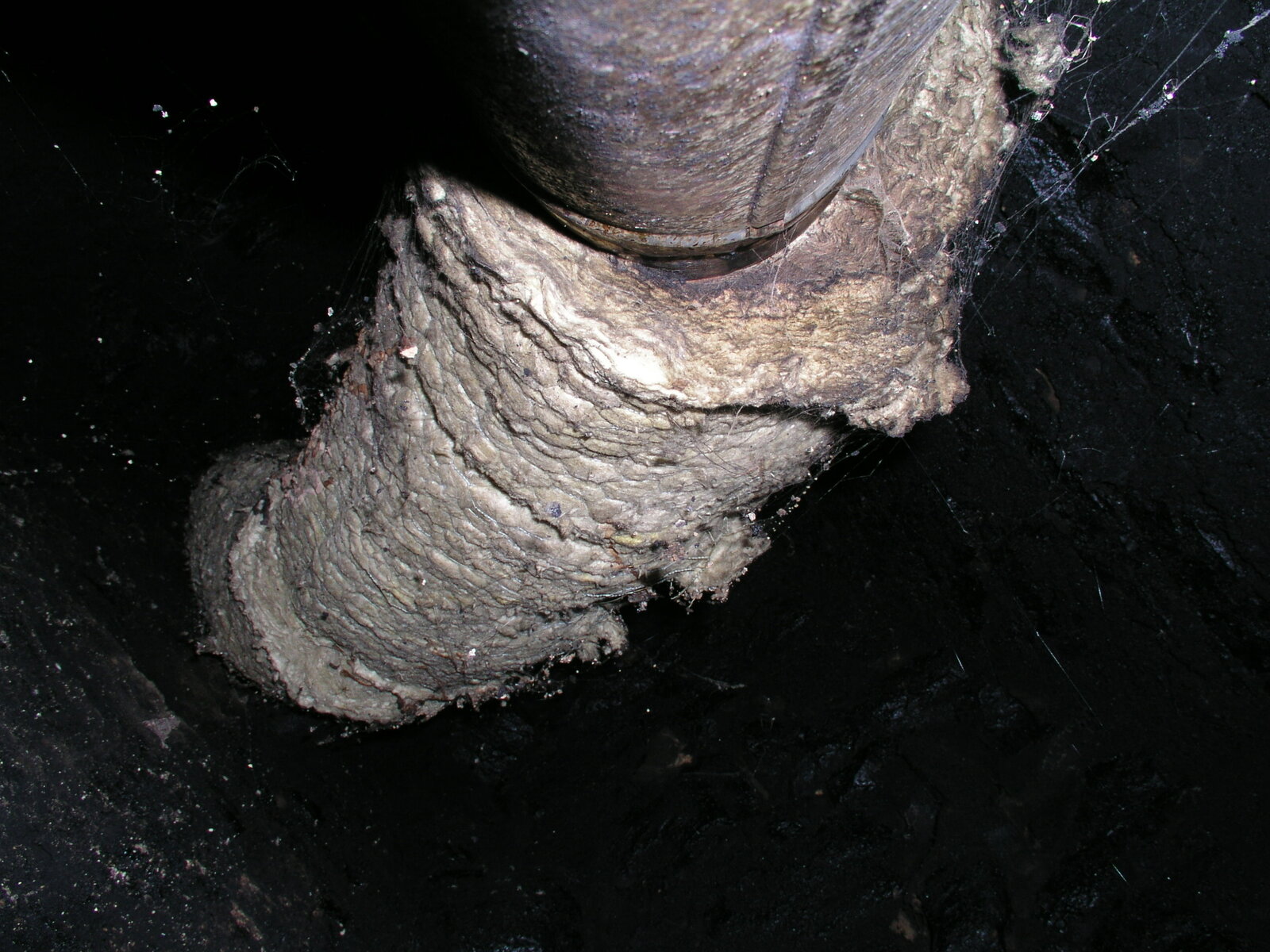 Flue liner thick...jpg