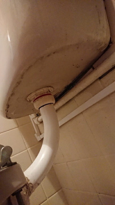 flush pipe.jpeg.jpeg