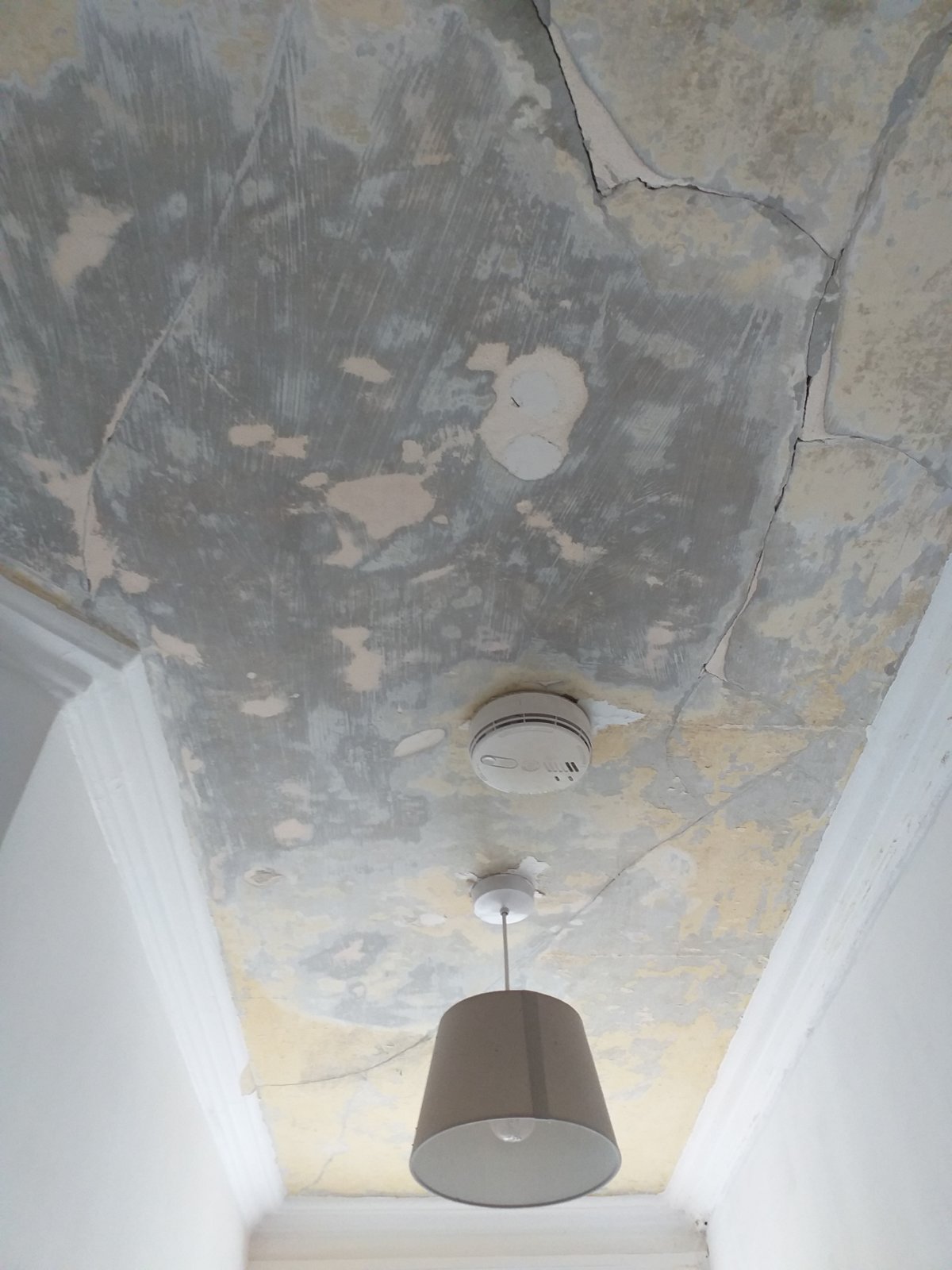 Lath Plaster Ceiling Cornice Repair And Paint In Old