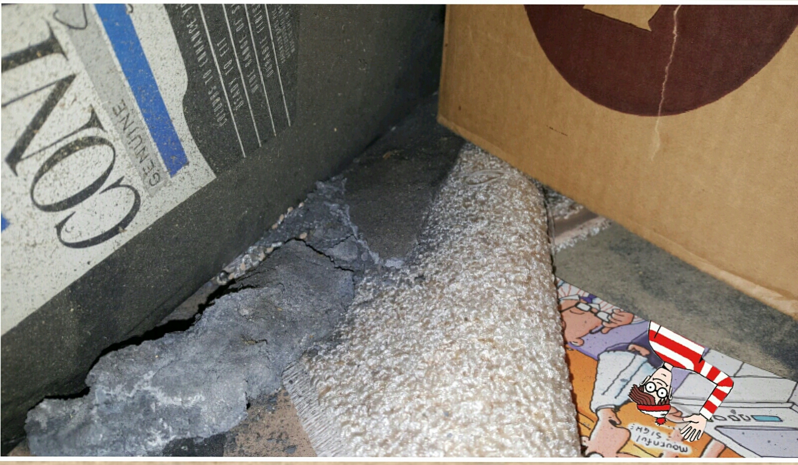 foto_no_exif (11).jpg