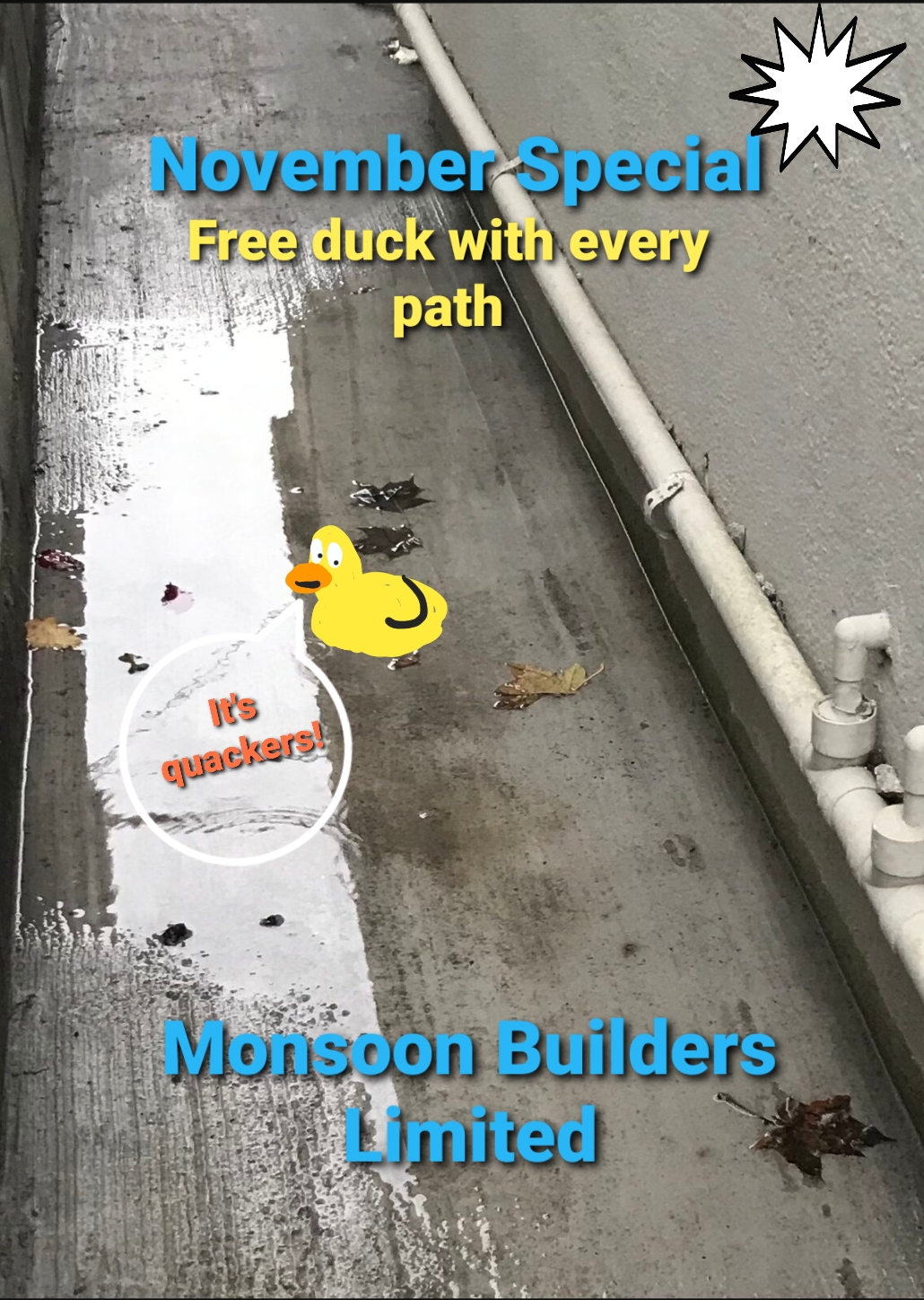 foto_no_exif (14).jpg