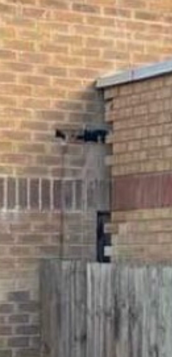 foto_no_exif (14).jpg