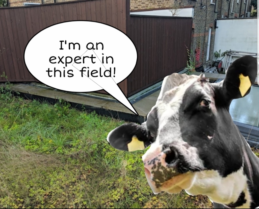 foto_no_exif (2).jpg