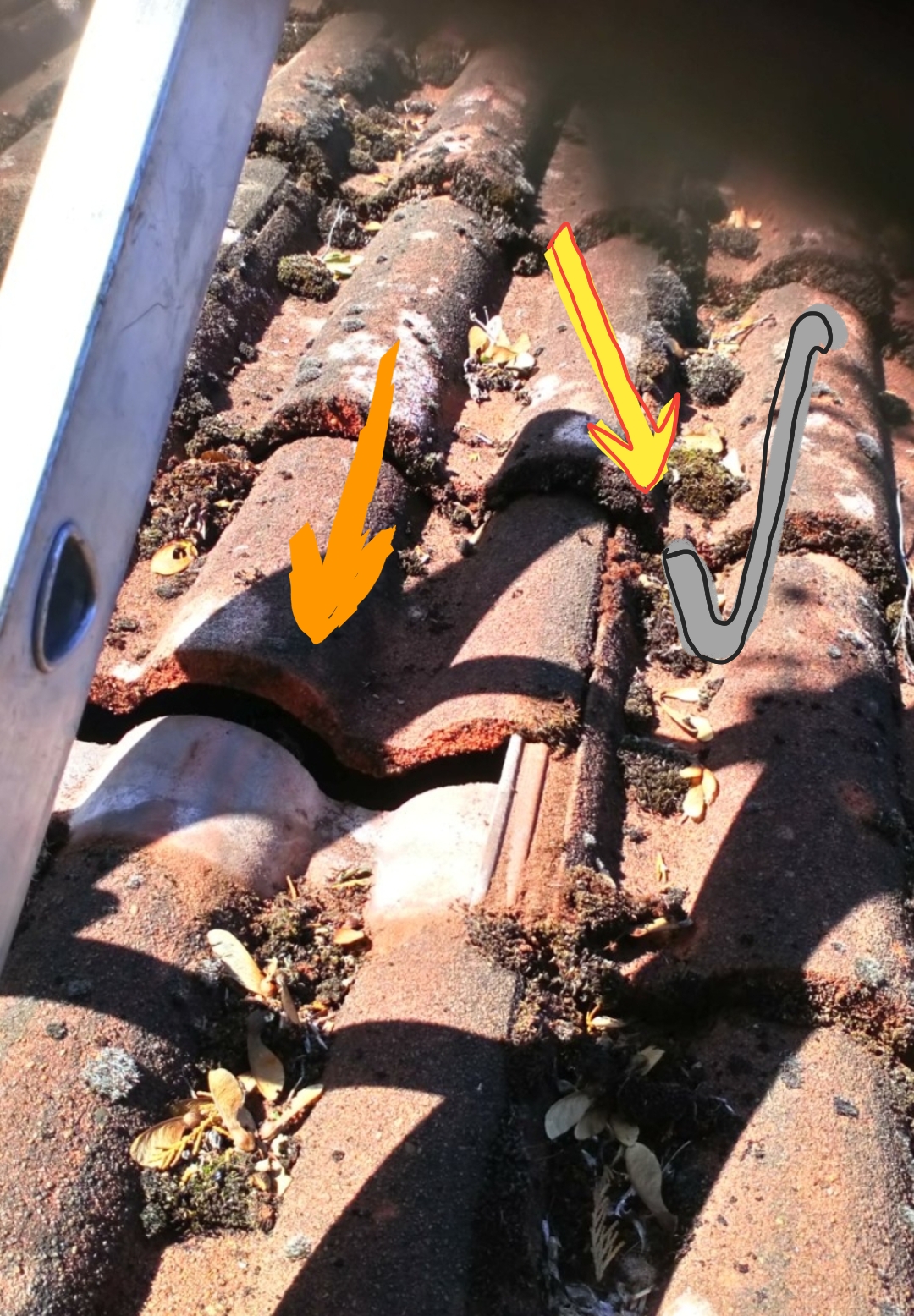 foto_no_exif (3).jpg