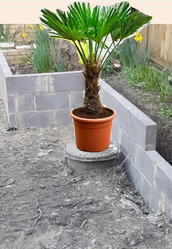 foto_no_exif (3).jpg