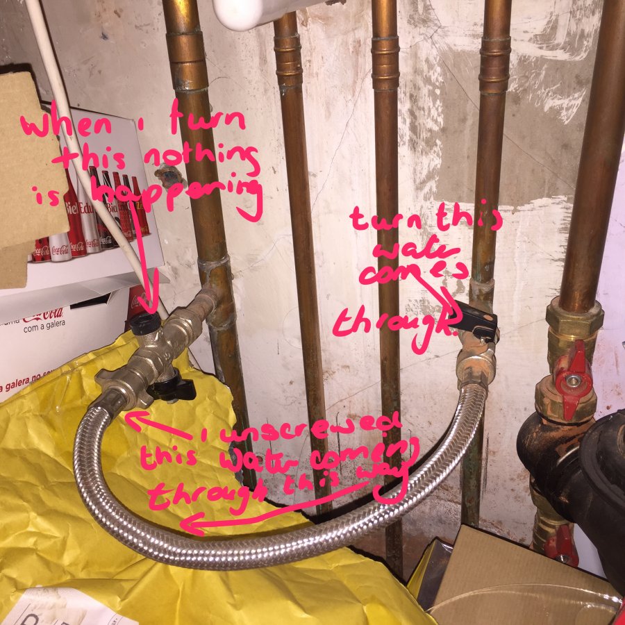 FullSizeRender 4.jpg