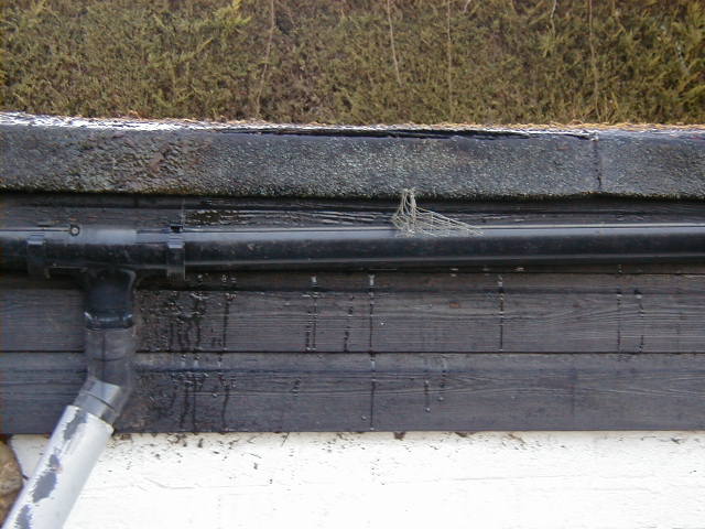 garage roof 1.JPG