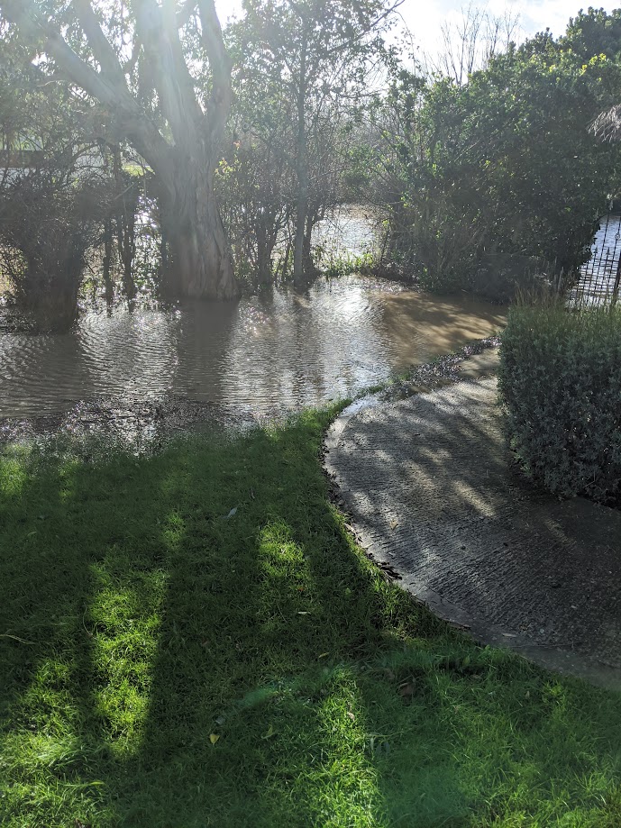 Garden flood.jpg