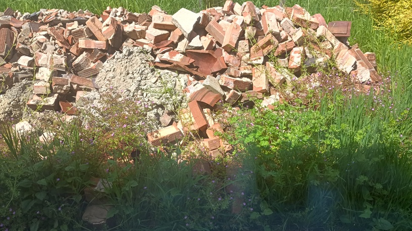 Garden.jpg